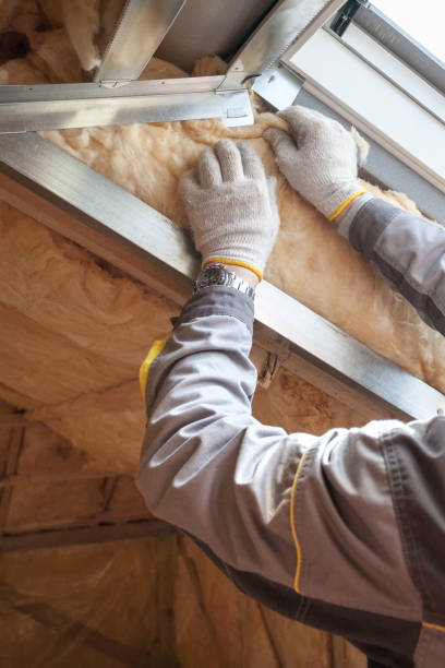 Best DIY Insulation Kits and Guidance in Gluckstadt, MS
